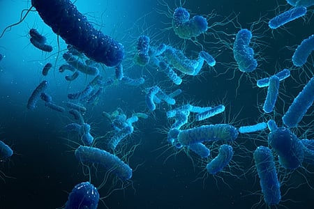 Legionnaires’ disease outbreak in NYC kills five