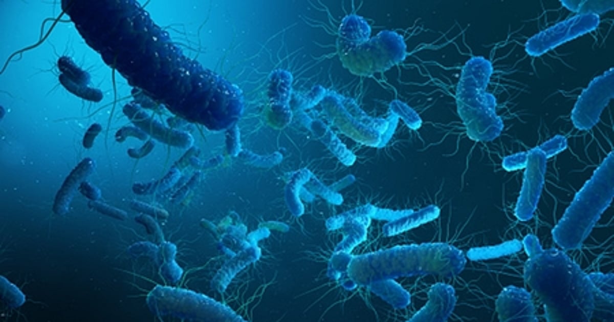 Legionnaires’ disease outbreak in NYC kills five Legionnaires’ disease outbreak in NYC kills five