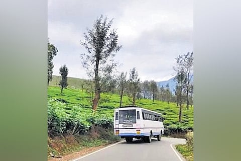 A set of good buses and a team of drivers who are also mechanics are deployed at the Pathanamthitta depot.