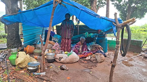 Tribal families in Pollachi brave rains in tarpaulin shelters, await concrete homes