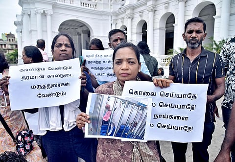 Animal activists protest at the Ripon Buildings on Monday