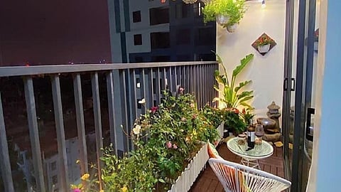 Balconies in Bloom: How Hyderabadis Are Cultivating Nature in Small Spaces