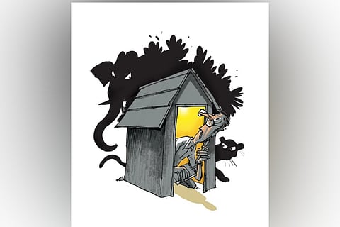 The move comes amid a spike in incidents of human-wildlife conflict across the state