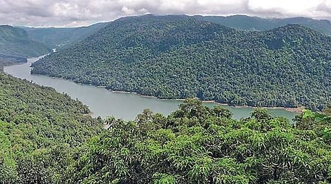 Sharavathi sanctuary.