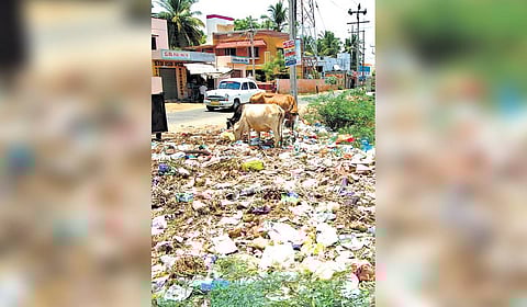 Chennai to fine vacant landowners up to Rs 25,000 for poor upkeep; daily penalty follows