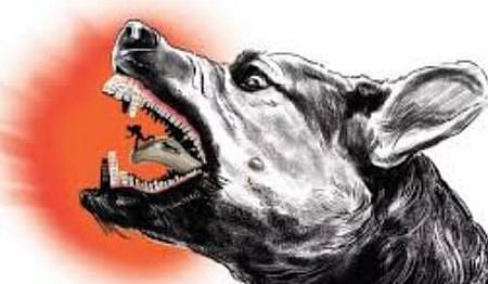 The rabies scare arose after a private hospital and a PHC where  V Edwin had approached had recorded his case as 'suspected rabies'.  