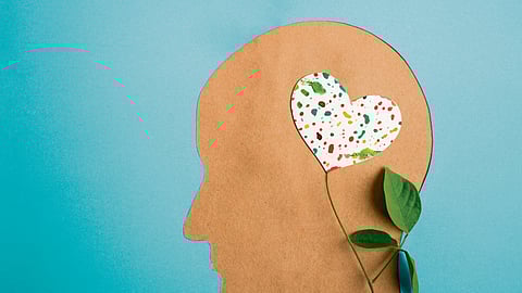 Wellspring of Creativity