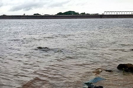 Image used for representative purposes only,