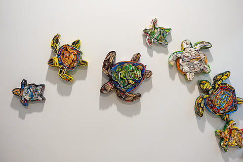 Manveer Singh, aka Plasticvalla's  ‘Turtle Trail’ 