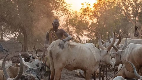 ‘Killing is part of their life’: The men raised on violence who are both perpetrators and victims as South Sudan faces return to civil war