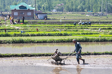 Image used for representational purposes only.