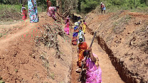 NREGA staff clearing tree remnants; though they are engaged in taxing physical labour, they are not paid on time.