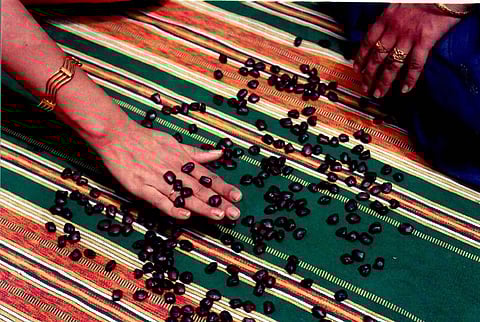 The treasure in our trees