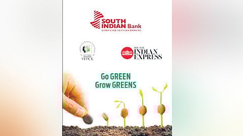 A sachet of vegetable seeds will be delivered at the house of each and every reader of The New Indian Express along with Thursday’s newspaper.