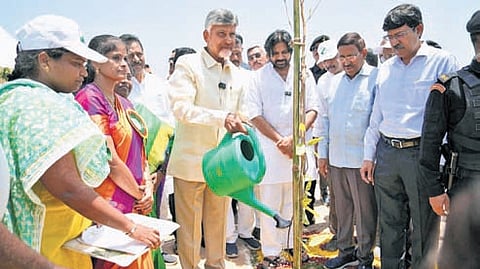 Chief Minister Chandrababu Naidu and Deputy Chief Minister Pawan Kalyan take part in Vana Mahotsav-2025 at Anantavaram on Thursday, June 5, 2025.