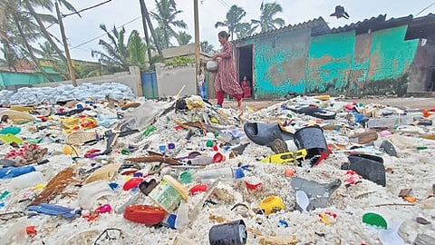 The manifest also lists a wide range of cargo including plastic pellets, wood, spinning machines, polymers, cotton, fish oil, tea, quicklime, cashew nuts, and Brazil nuts.