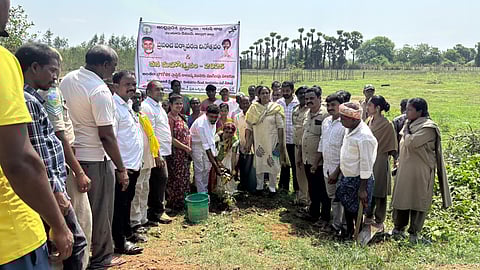 Tribal couple plants saplings minutes after tying the knot