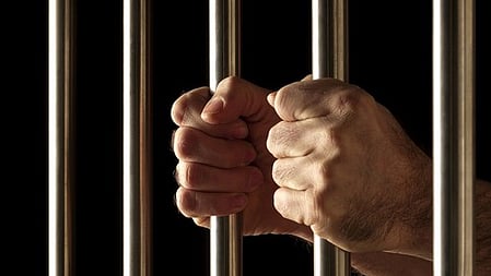 The convict, MS Guru alias Gurusamy (46), was the managing director of Susi Emu Farms India Private Limited, headquartered at Perundurai in Erode district.