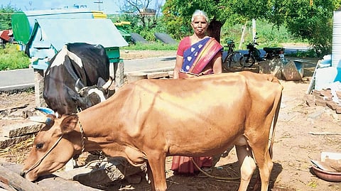 Santhi started selling milk to local cooperative societies to run her family, following the death of her husband 