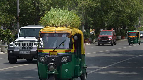 Mahender Kumar from Gopalpur Timarpur village keeps bushes on the roof of his auto to escape from rising mercury in the capital. 