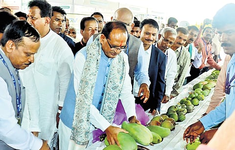 Union Minister Shivaraj Singh Chouhan during the launch of Viksit Krishi Sankalp
Abhiyan on Sunday