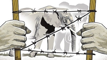 Representative image of electric fence.