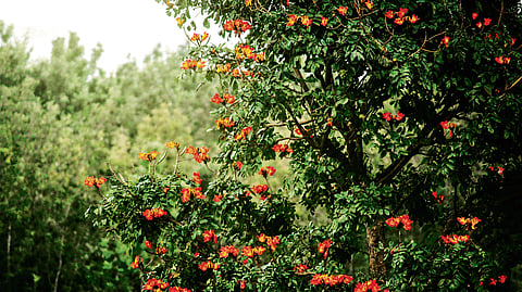 Representational image.