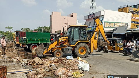 Madurai corporation clears two tonnes of meat waste from Vaigai South Bank Road