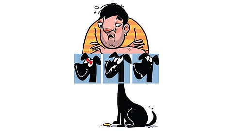 Image used for representational purposes only.