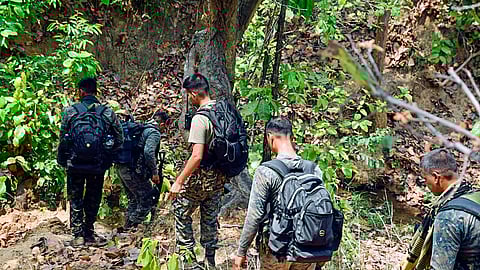 The encounter took place in the forested areas of Pachmadar and Katejhiriya.