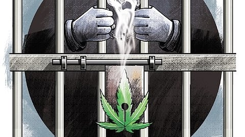 narcotic cell, drugs