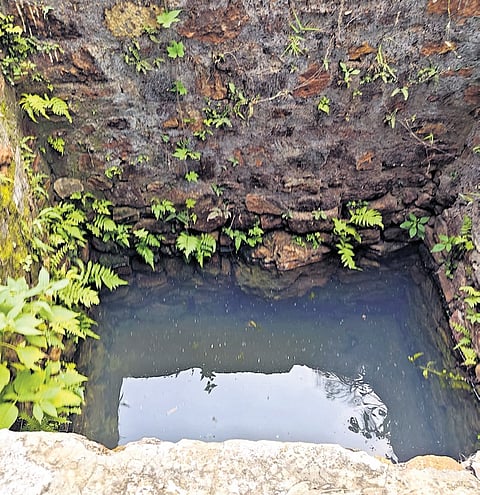 VIDYA Foundations, an NGO committed to environmental sustainability, has been working closely with tribal communities, mentoring them in rainwater conservation techniques.