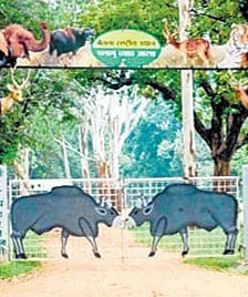 In a 1st, Japan technique to help boost 
forest cover outside Palamu reserve 