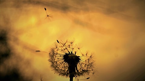 Are you Death Positive?