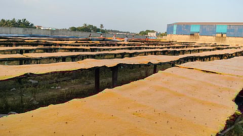 Kakinada District Assistant Food Control Officer B Srinivas and his team have identified five unauthorized mango jelly manufacturing units.