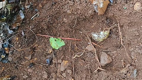 An orange wire is seen running beneath the soil near the secret cache unearthed by security forces in Jharkhand.