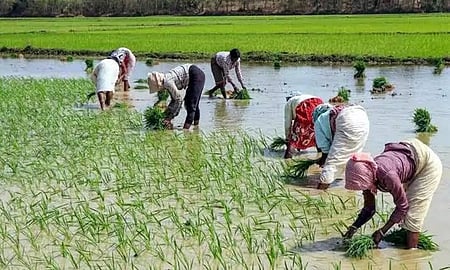 Farmers demanded the implementation of a modified version of the Pandiyaru-Moyyar link scheme so that water of the west-flowing rivers.