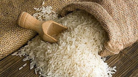 Image of basmati rice used for representational purposes.
