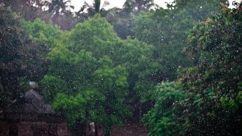 How about a rustic monsoon walk to reset your mind?