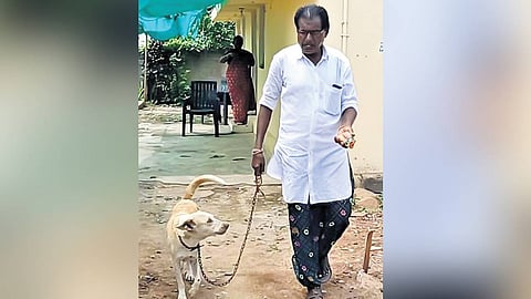 Five days later, to their astonishment, Lorio returned to their doorstep. 