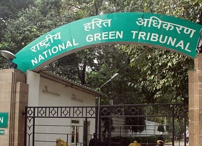Plant 4,770 saplings for 470 trees felled  for road project: NGT orders SH Department
