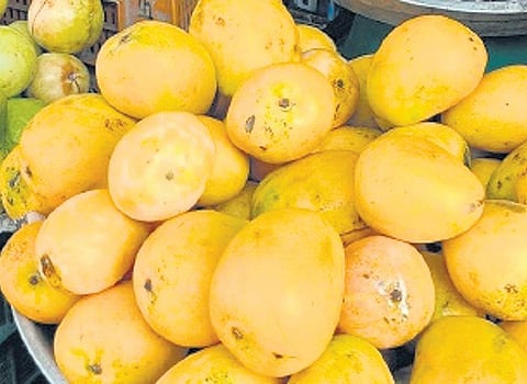 Image used for representational purposes only