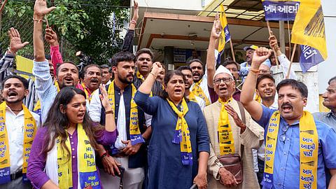 AAP wins Visavadar, BJP sweeps Kadi: Gujarat bypolls deliver mixed mandate