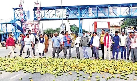 Farmers dump mangoes on the Bangaluru-Chennai Highway near Kondarajanajalli on Tuesday.