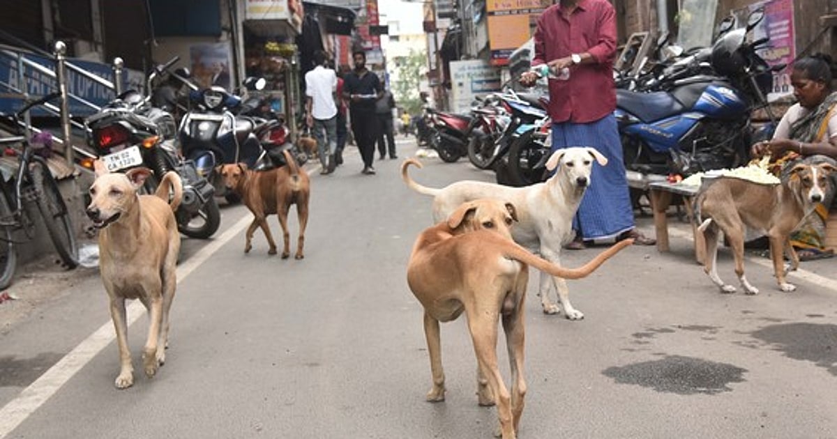 The New Indian Express - Other - News Image