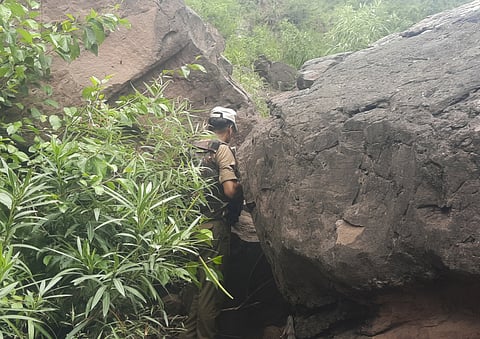 Image used for representational purposes only.