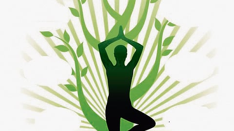 The eight limbs of yoga