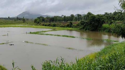 Image used for representational purposes only.