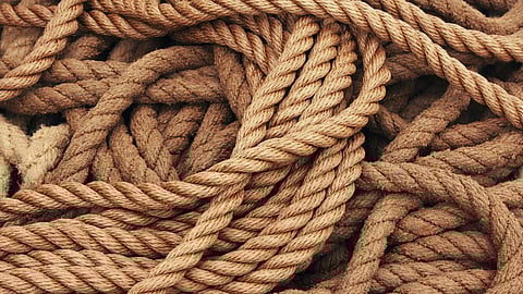 Under the South Asian Free Trade Area (SAFTA) agreement, Bangladesh’s jute exports currently enjoy duty-free access to the Indian market.