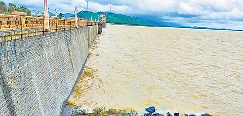 The Dam Safety review team and Dam Safety panel, comprising former chairmen of the Central Water Commission, inspected the dams to study their status.
